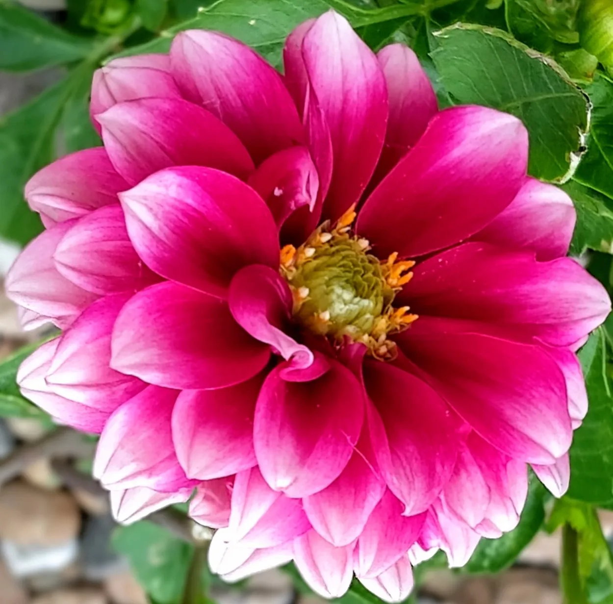~SOMETIMES THE DETAILS DO MAKE ALL THE DIFFERENCE~
