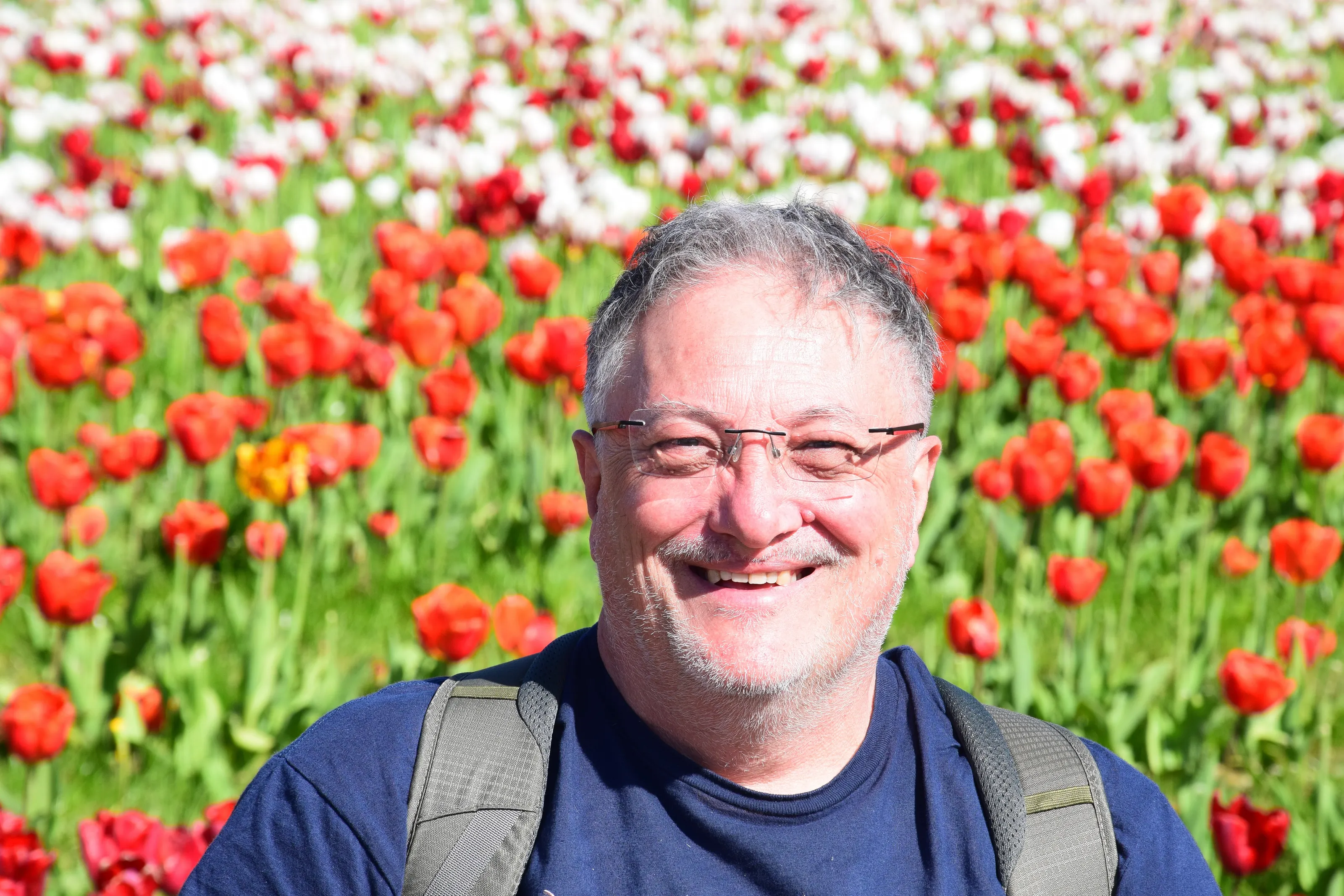 Tulip time