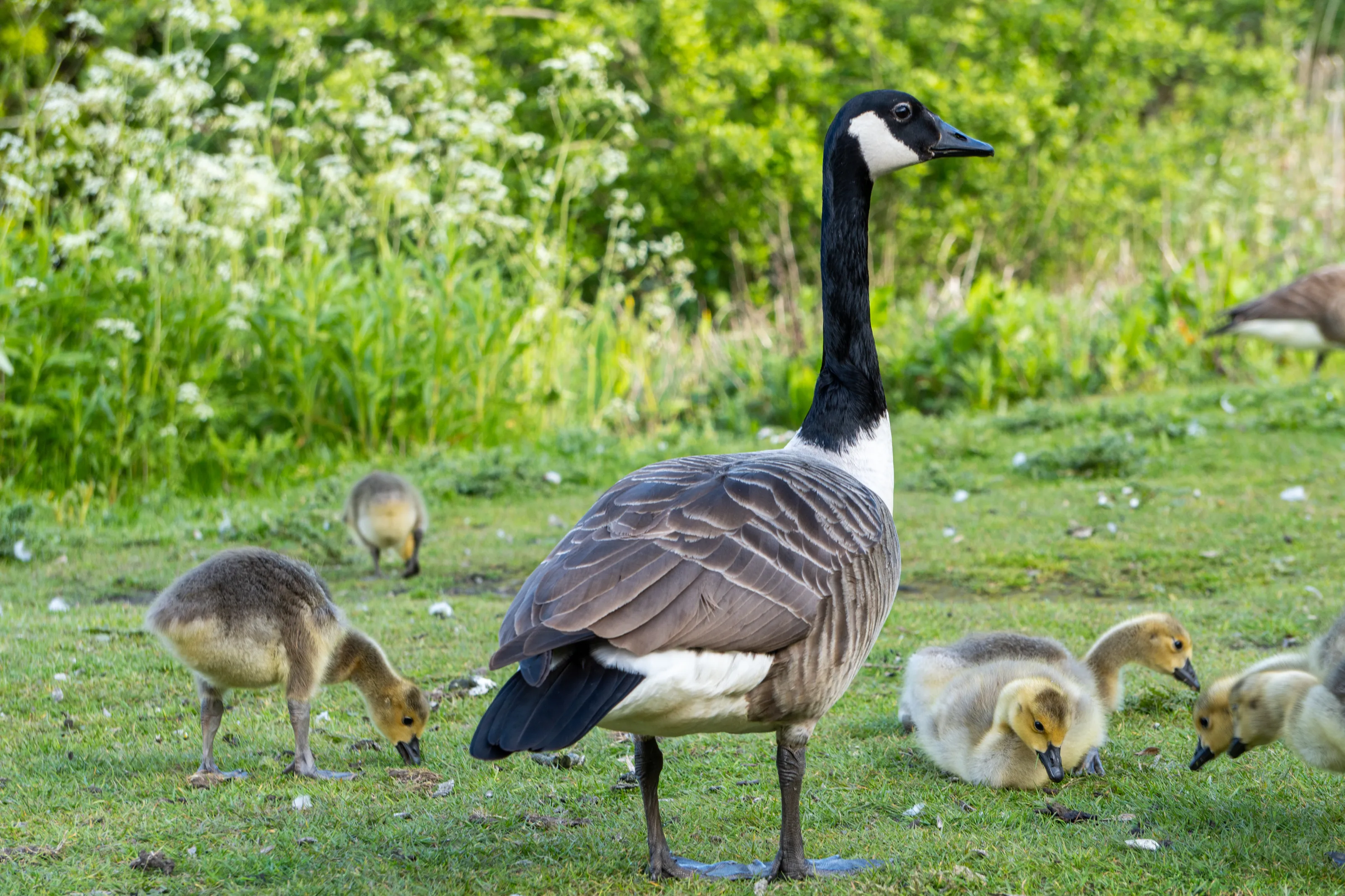 Mother and Children