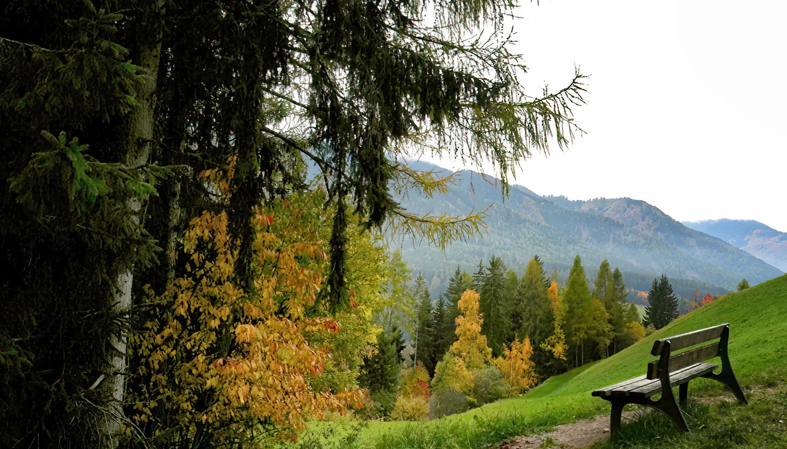 Mountainside Bench