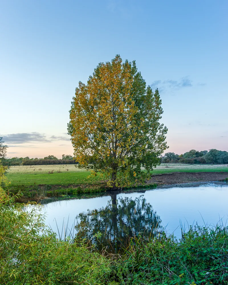 By the River