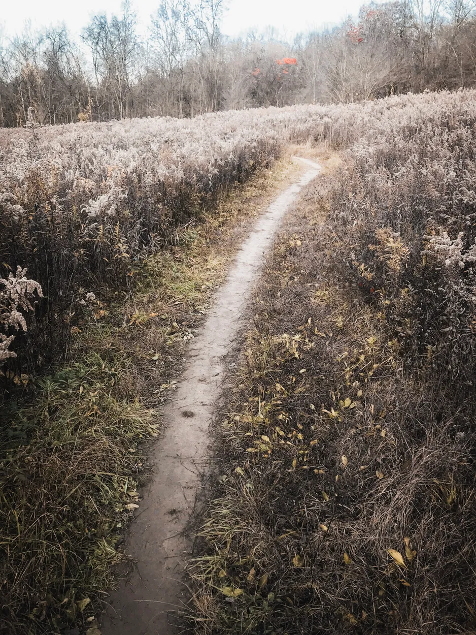 Hiking Trail Through An Open Field