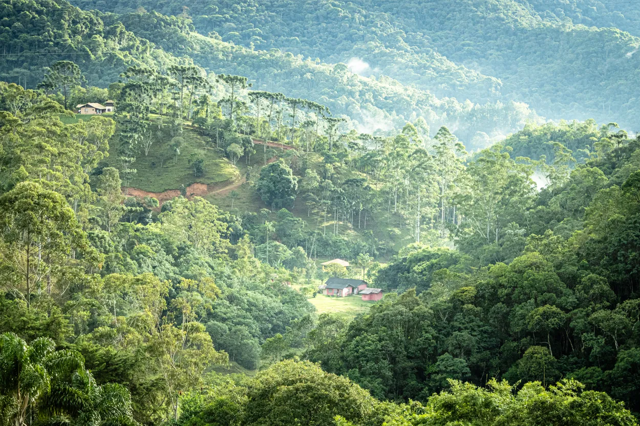 Green mountain in Brazil