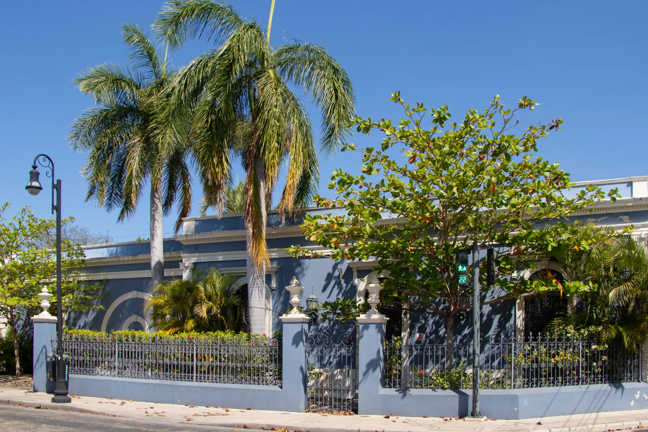 Blue House with Palm Trees