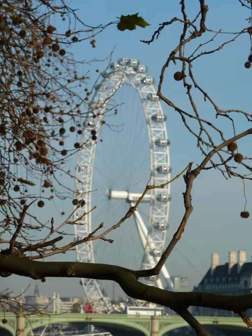 London eye from a different prospective