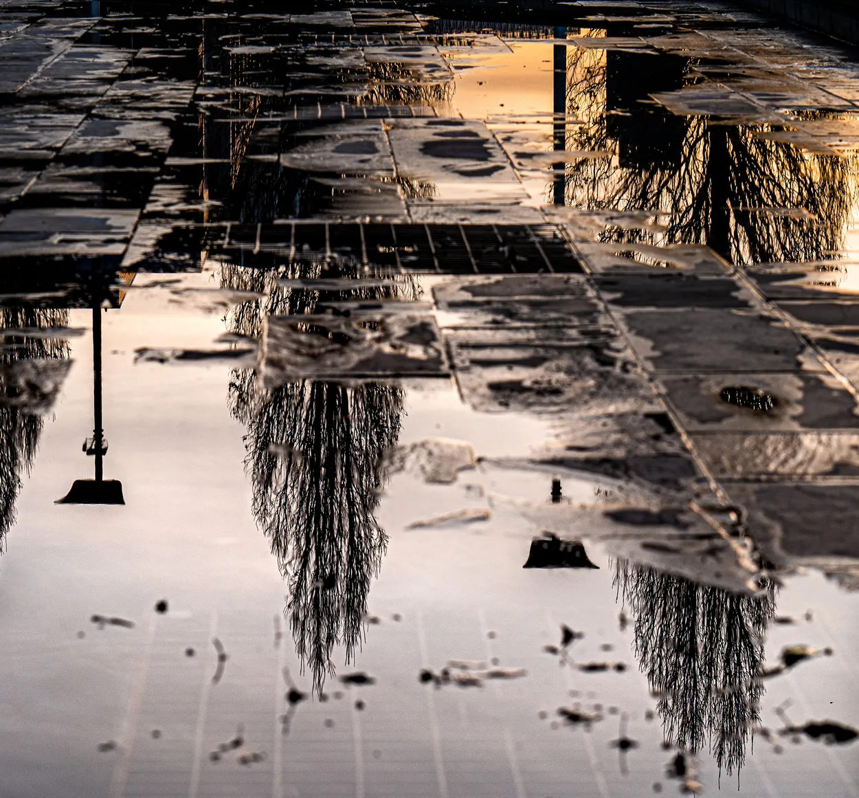 Winter reflections