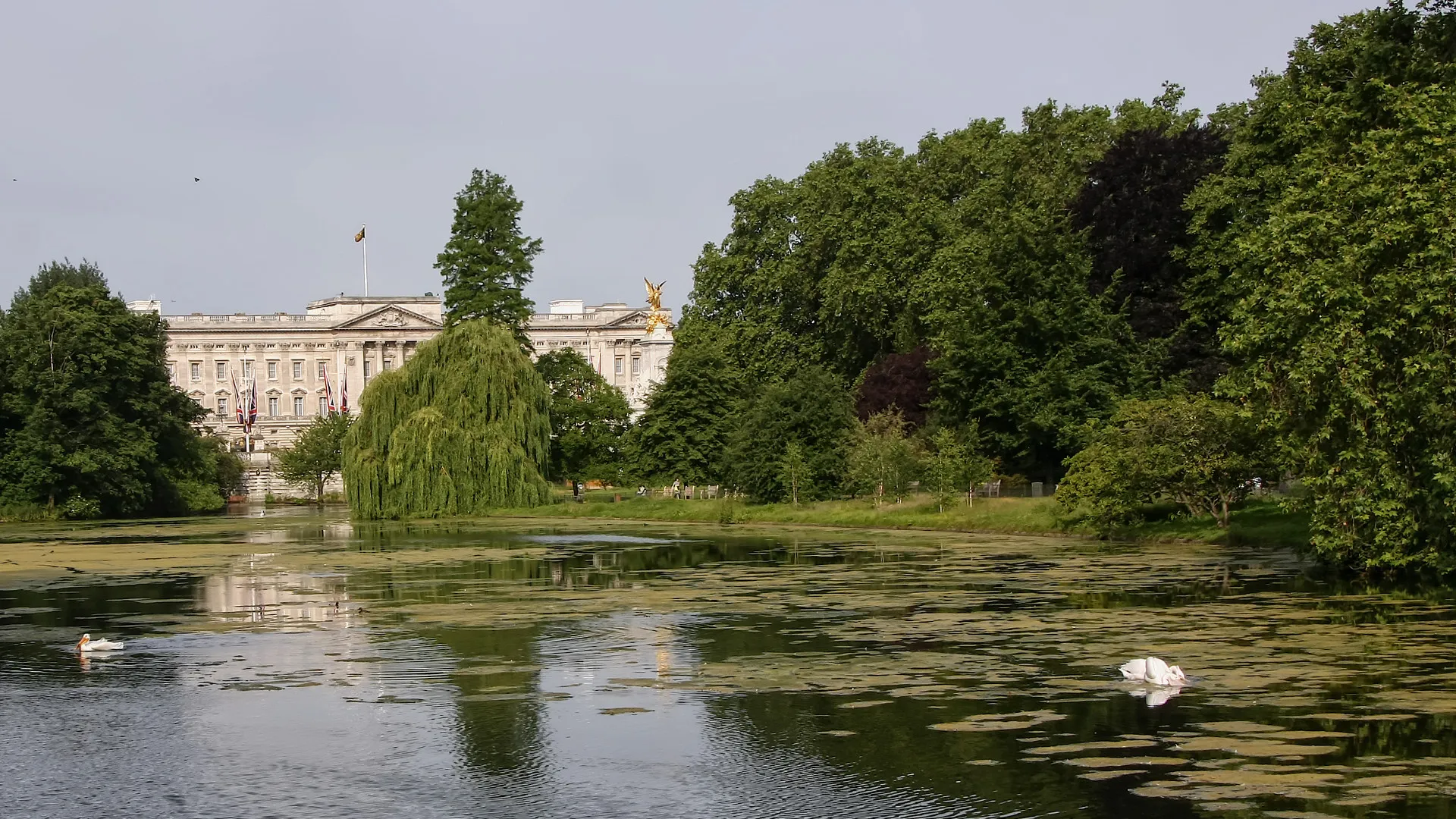 St James Park