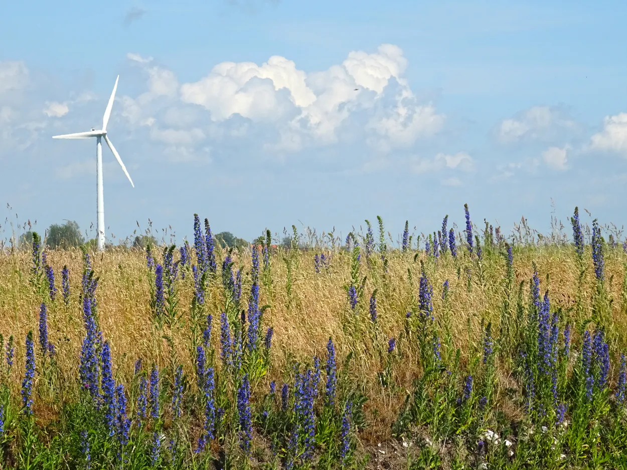 Wind turbine in Sweden