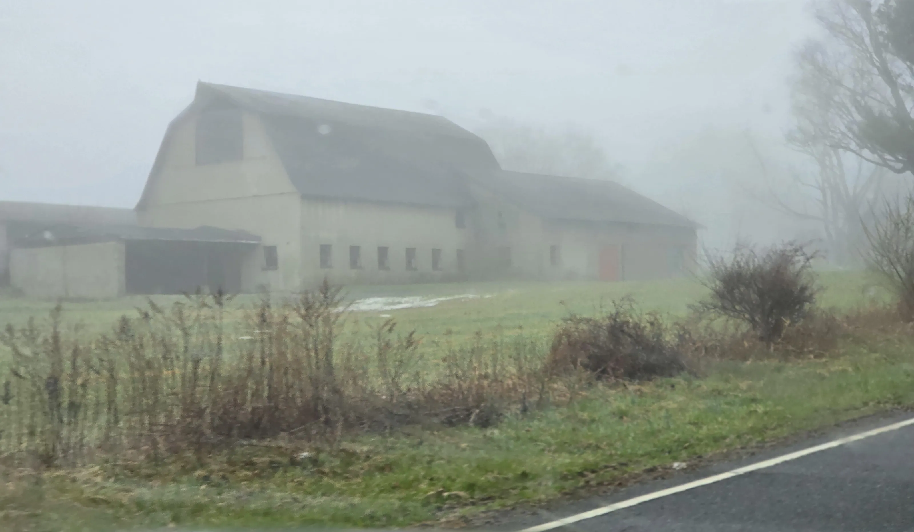 A Foggy Morning On The Farm
