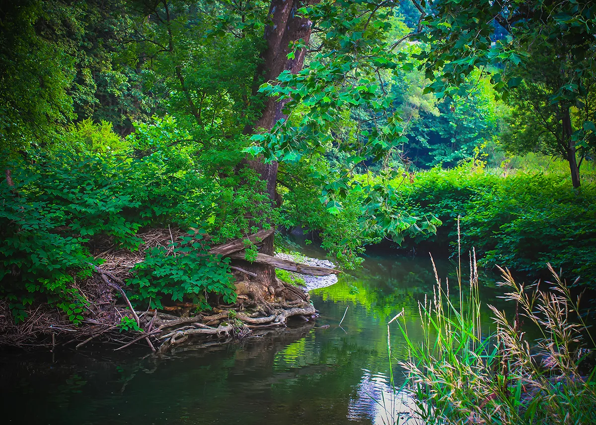 Stream