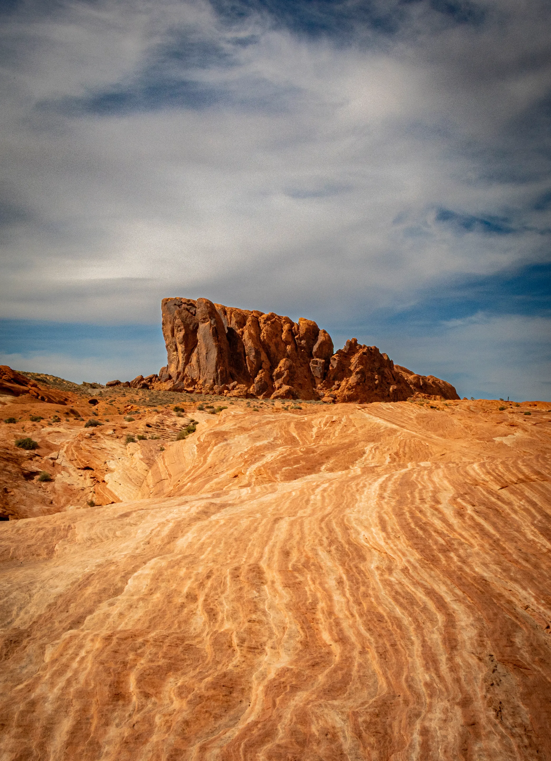 Desert Landscapes