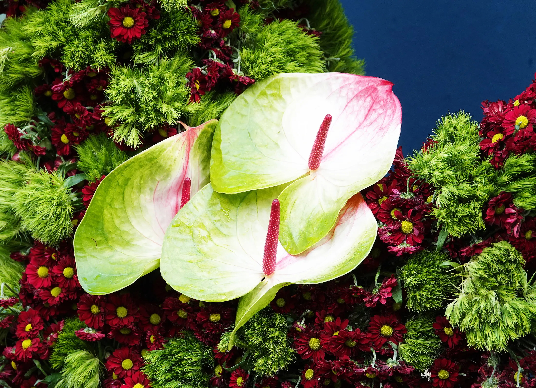 Flower display