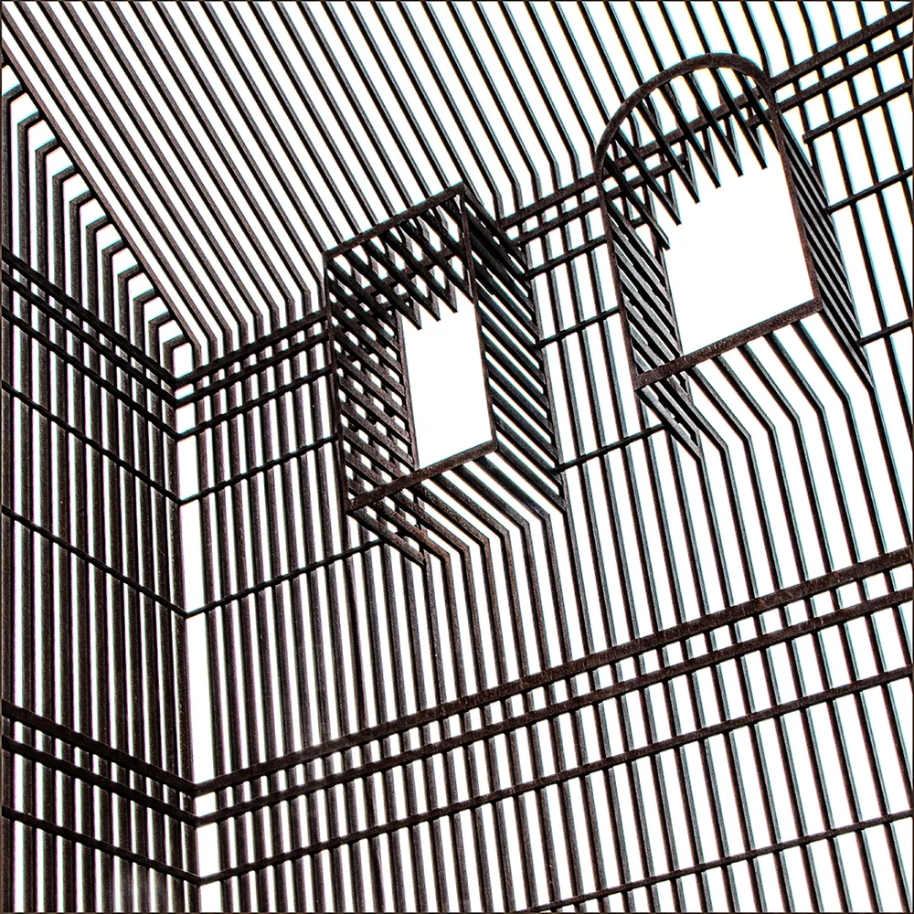 Ventilated Cage
