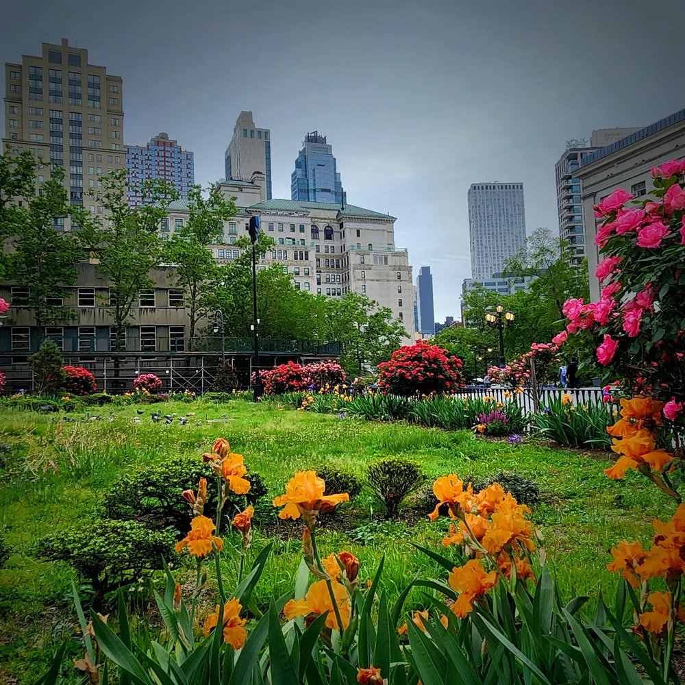 Urban Garden