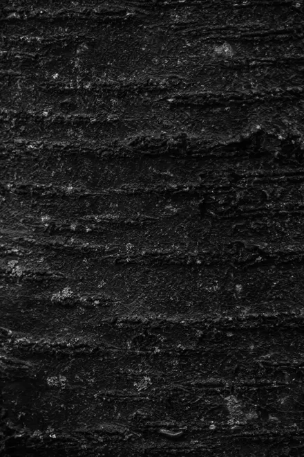 Textures of Trees pt.1