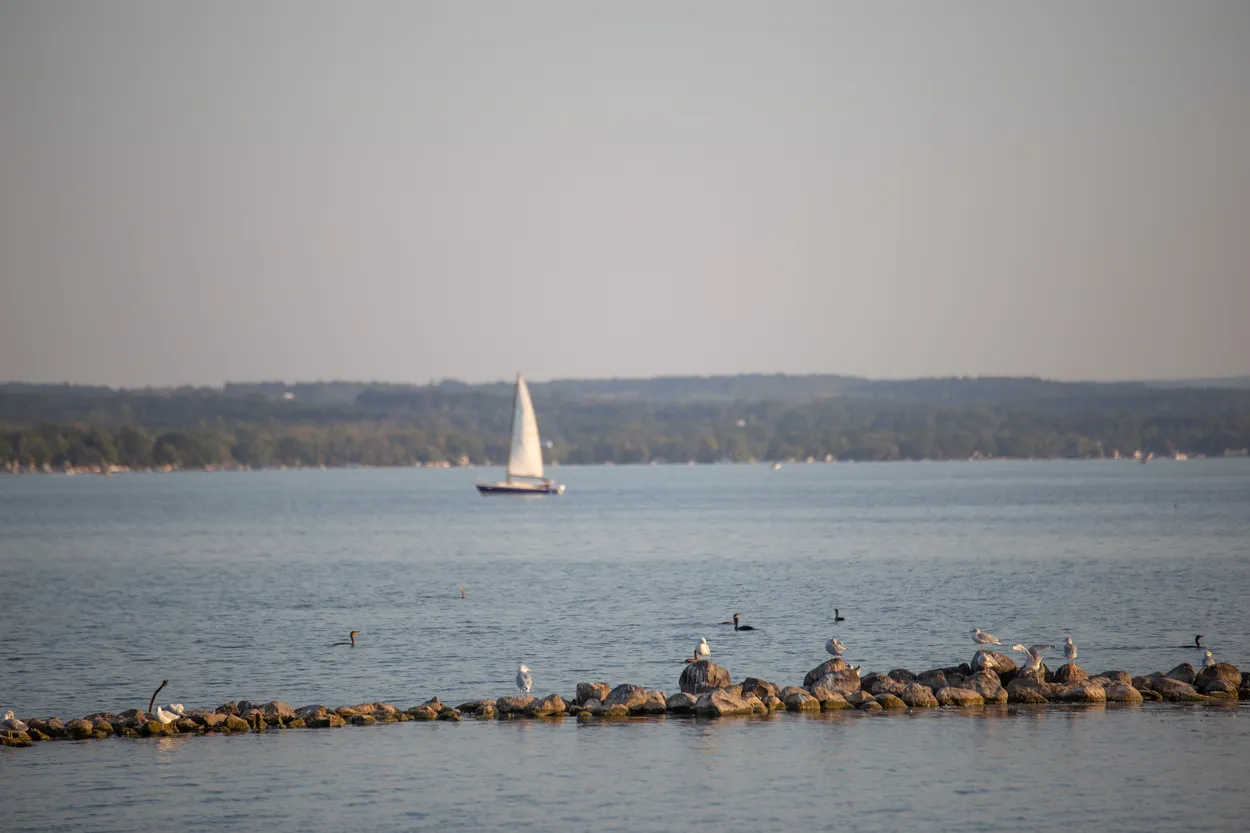 Sail Away