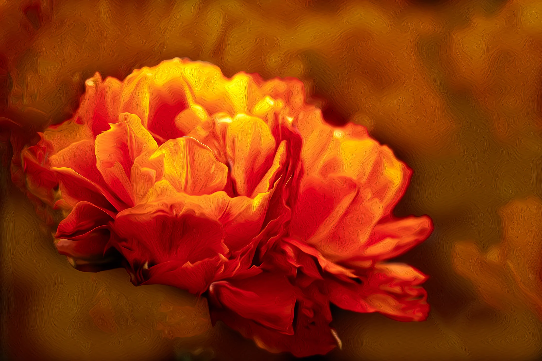 Orange Delight