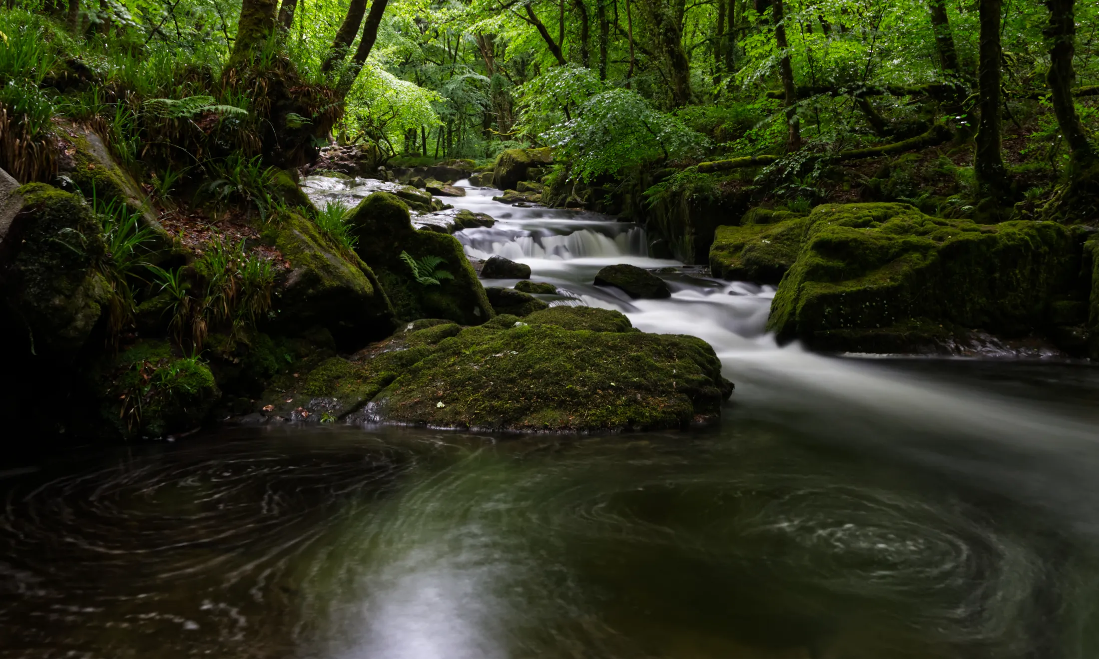 Golitha falls
