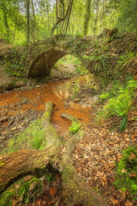 The Border Bridge 1