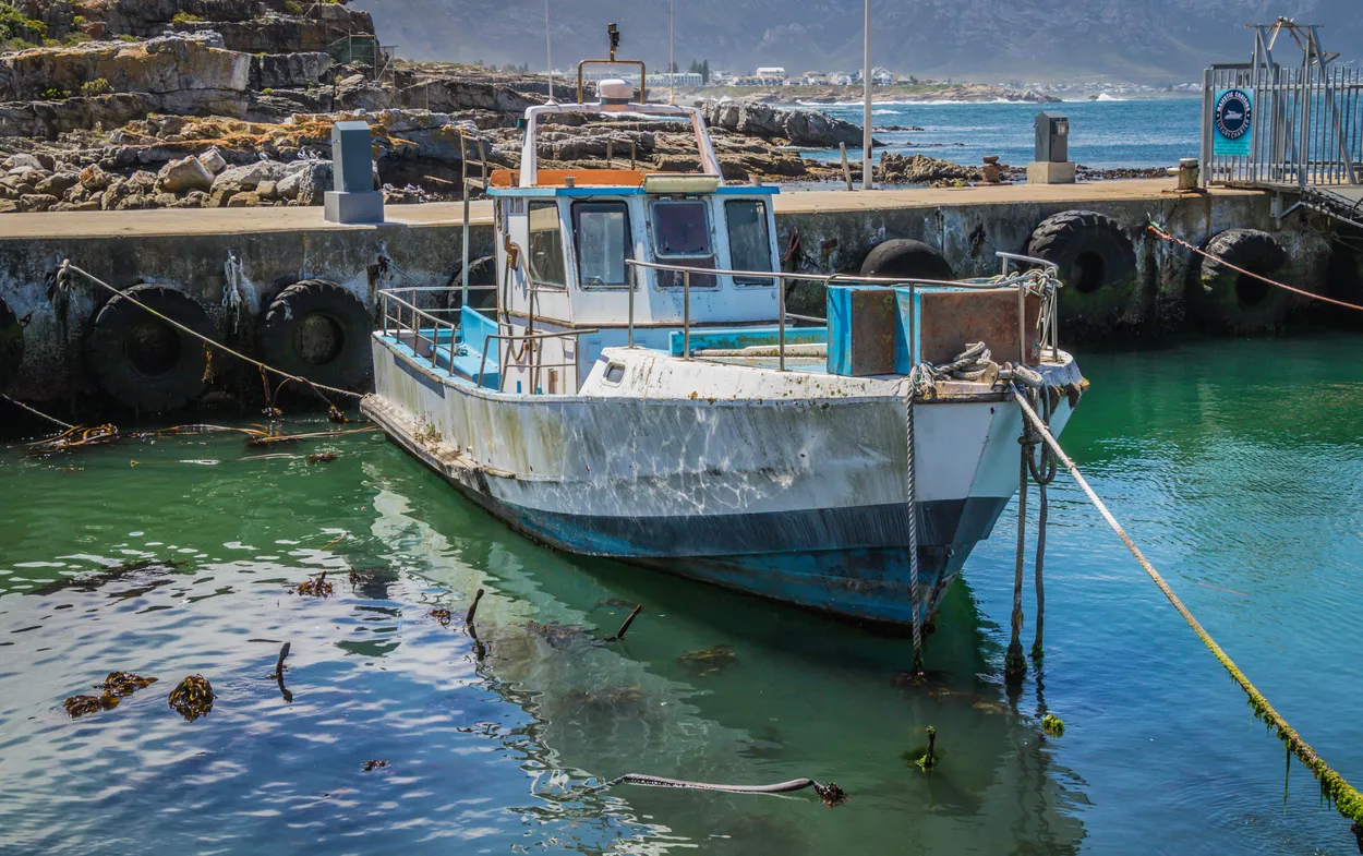 Hermanus Harbour