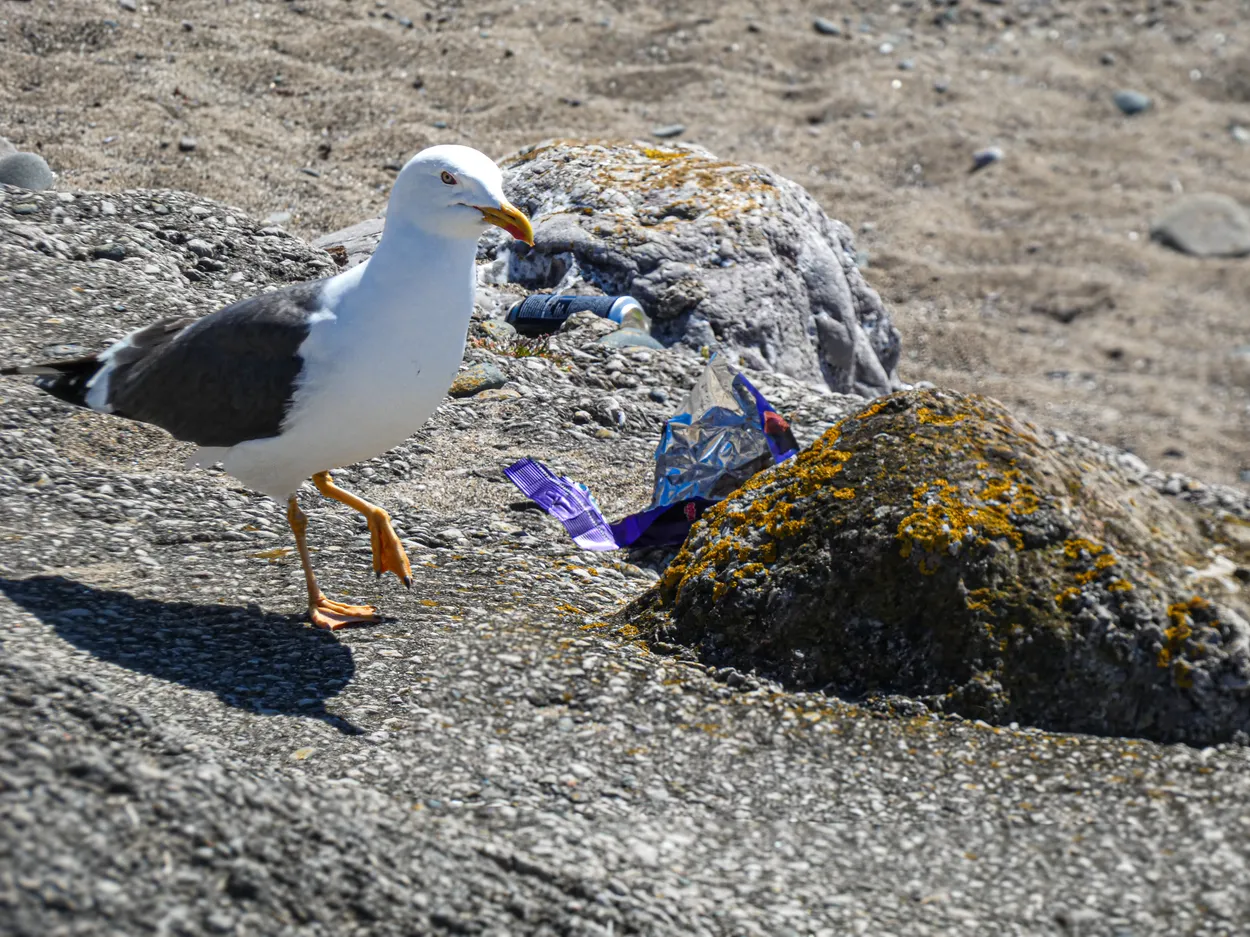 ' Take your rubbish home'