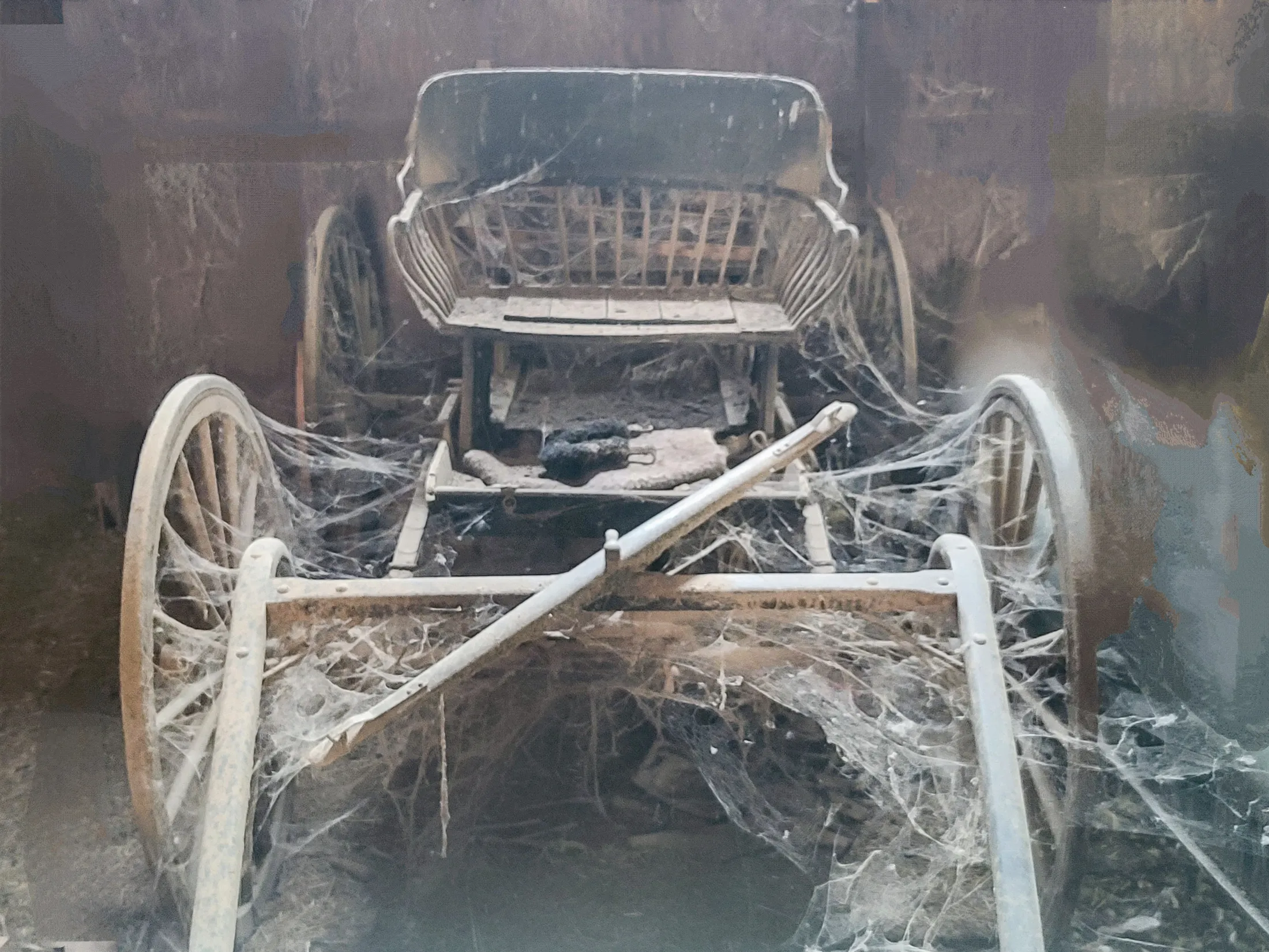 Horse Drawn Carriage