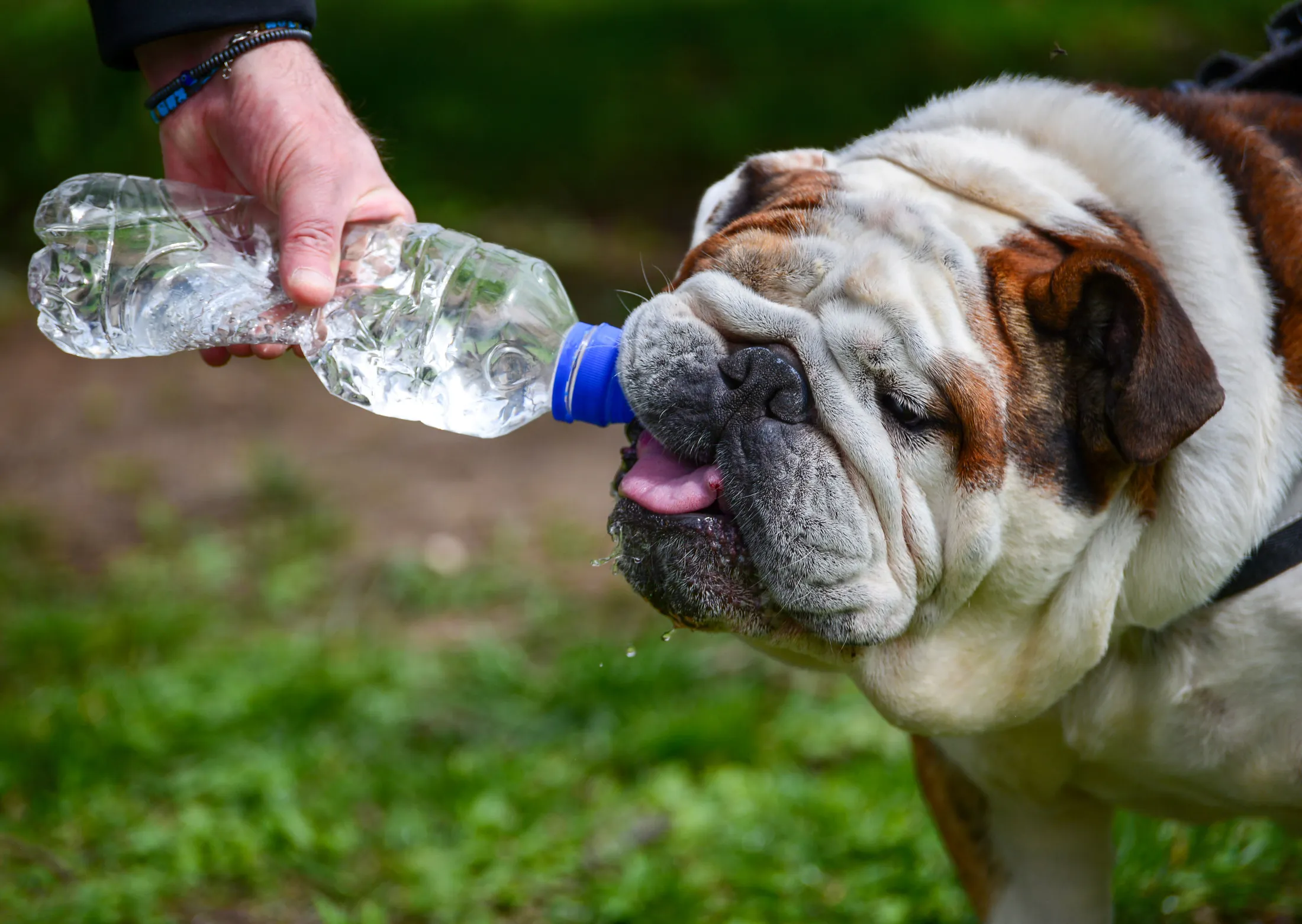 Patrizio drinking water