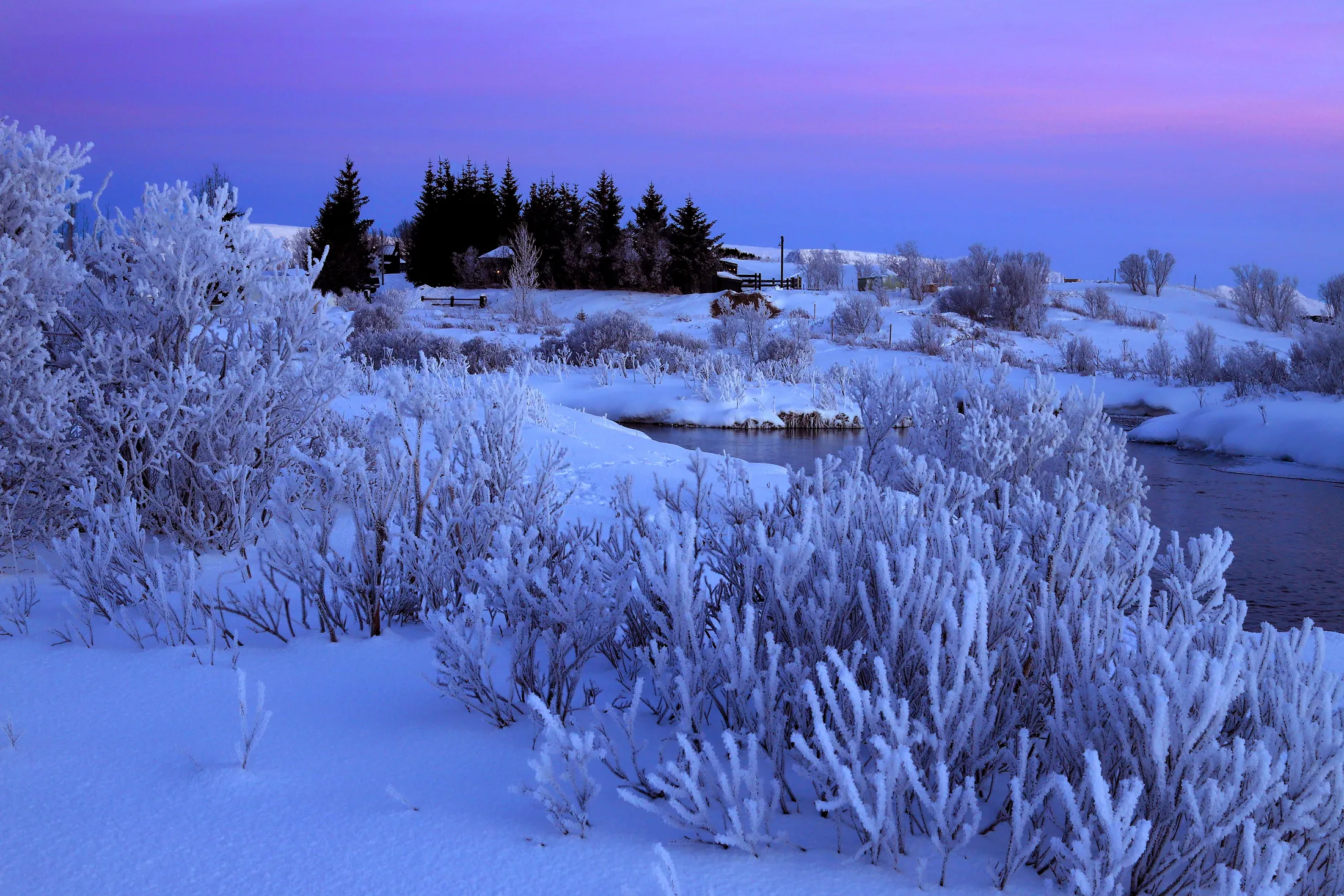 A very cold day in january