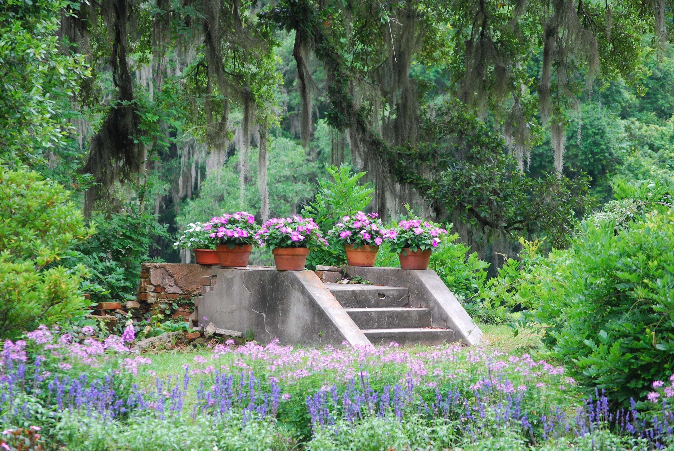 Flower Show