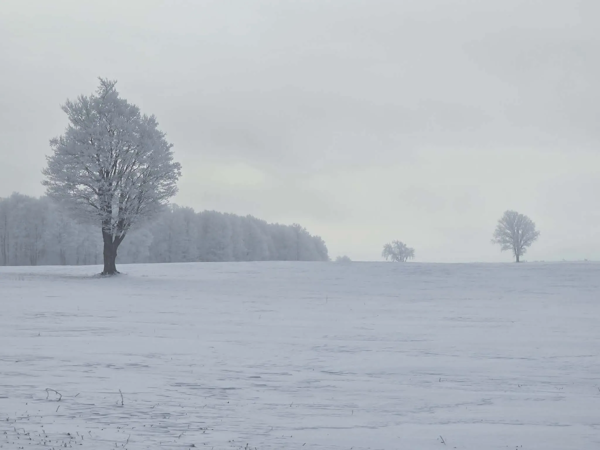 Frozen winter