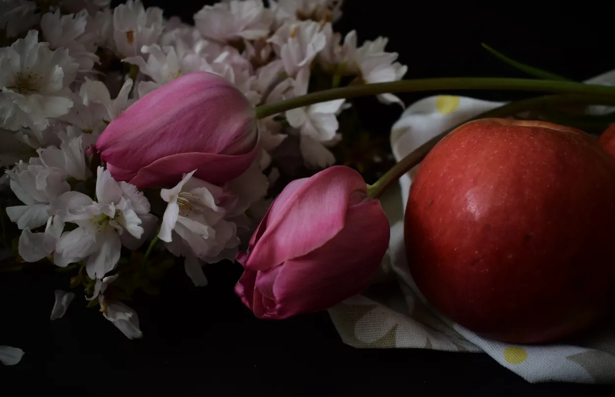 Tulips, japanese cherry tree flowers and apples