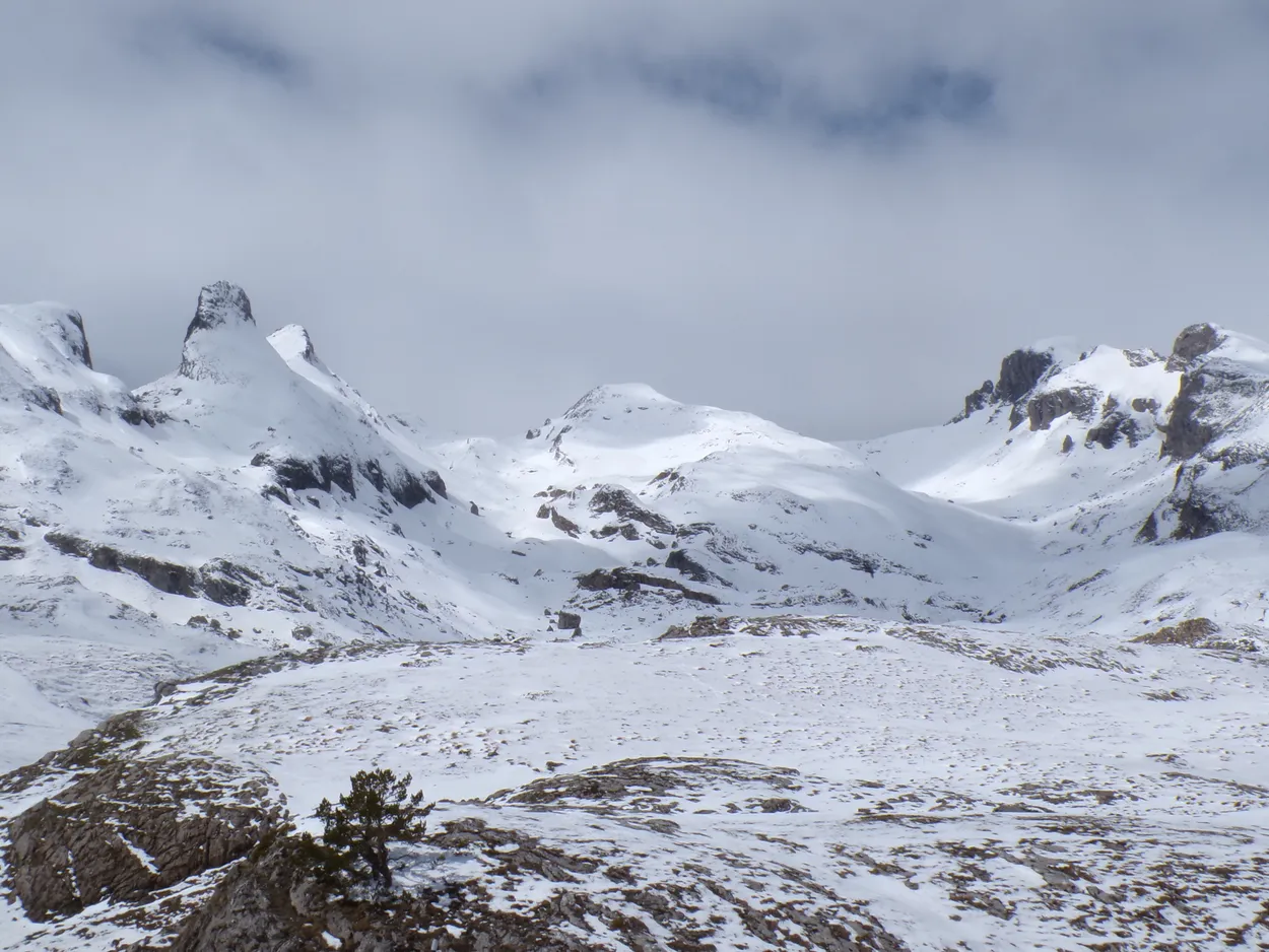 The Snowy Pyrenees