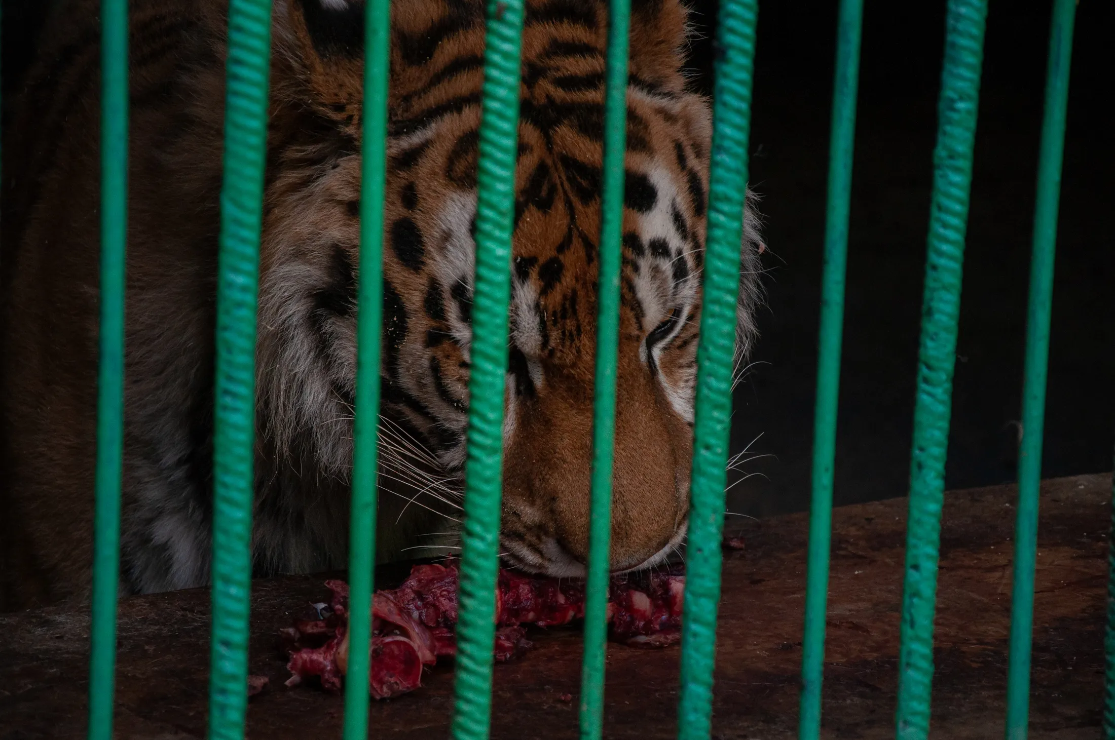 locked up