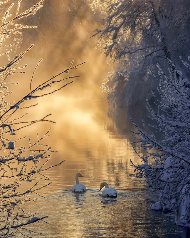 Winter magic