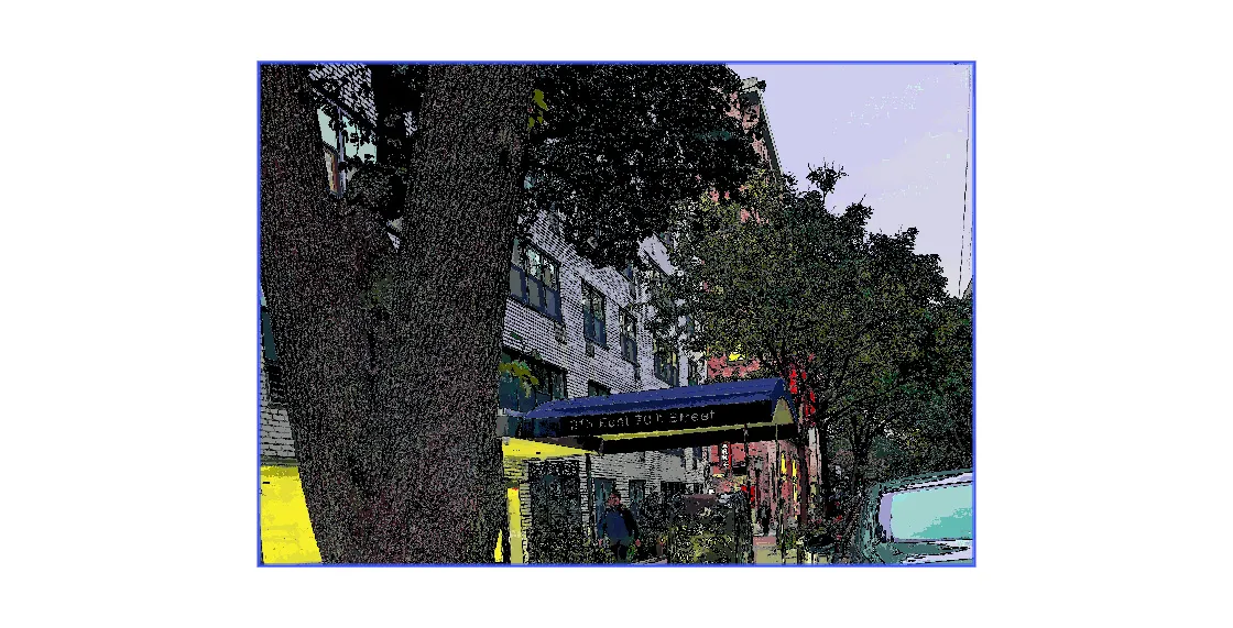 Trees in New York City