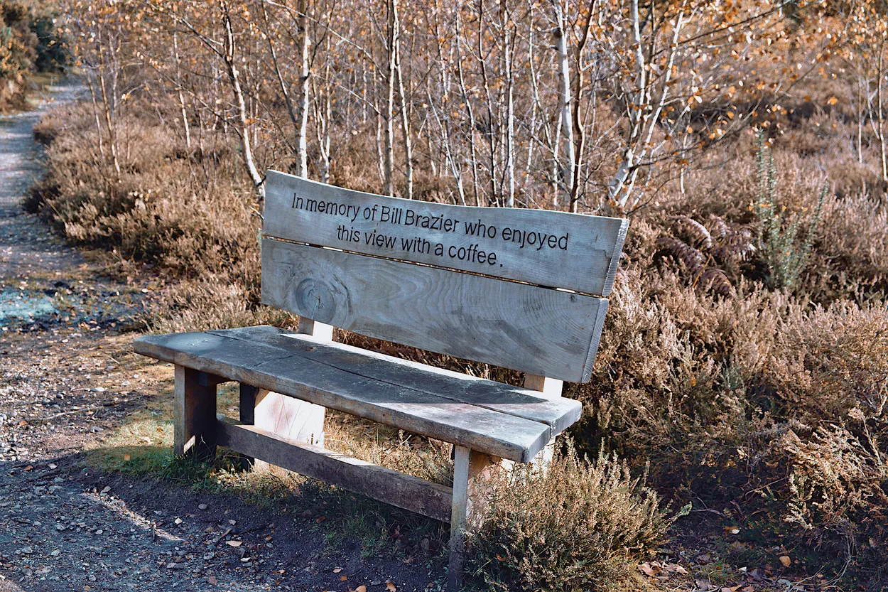 Bill's Bench