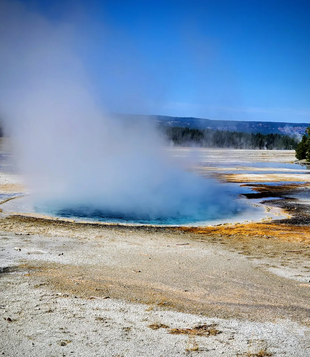 Geyser, Yellowstone Nation.park , USA