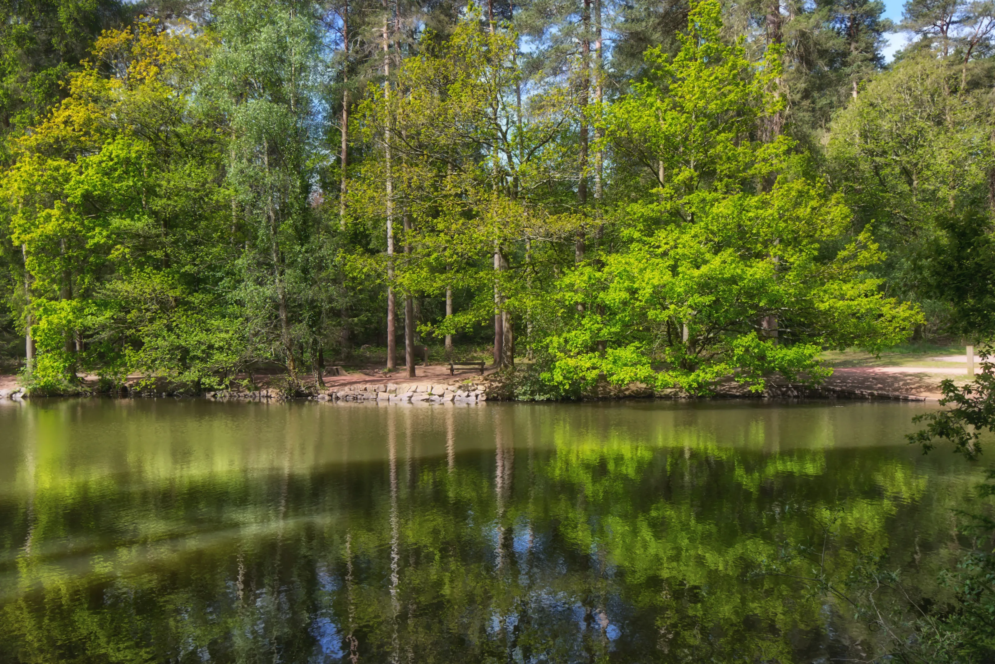reflections