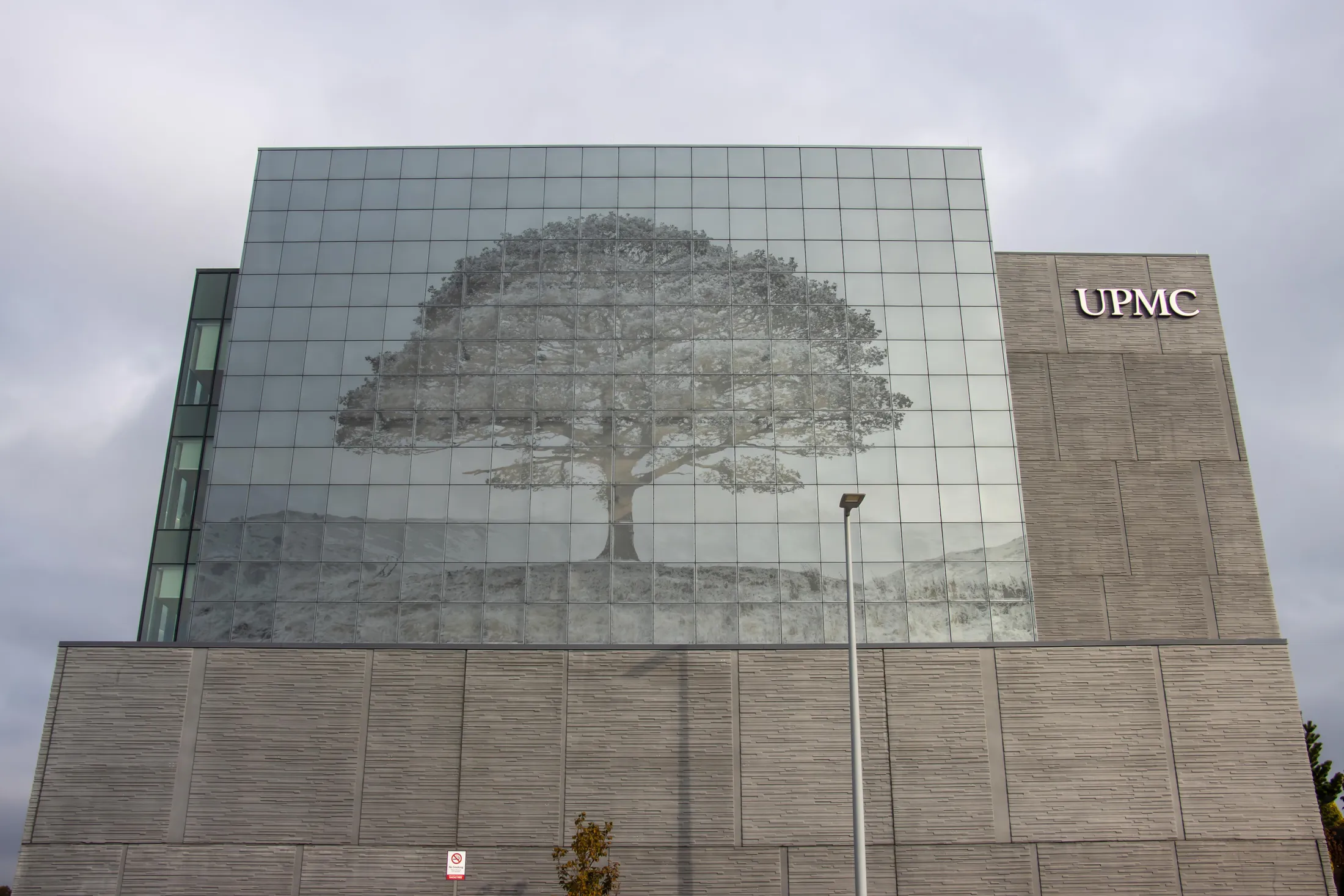 "Tree of Life"