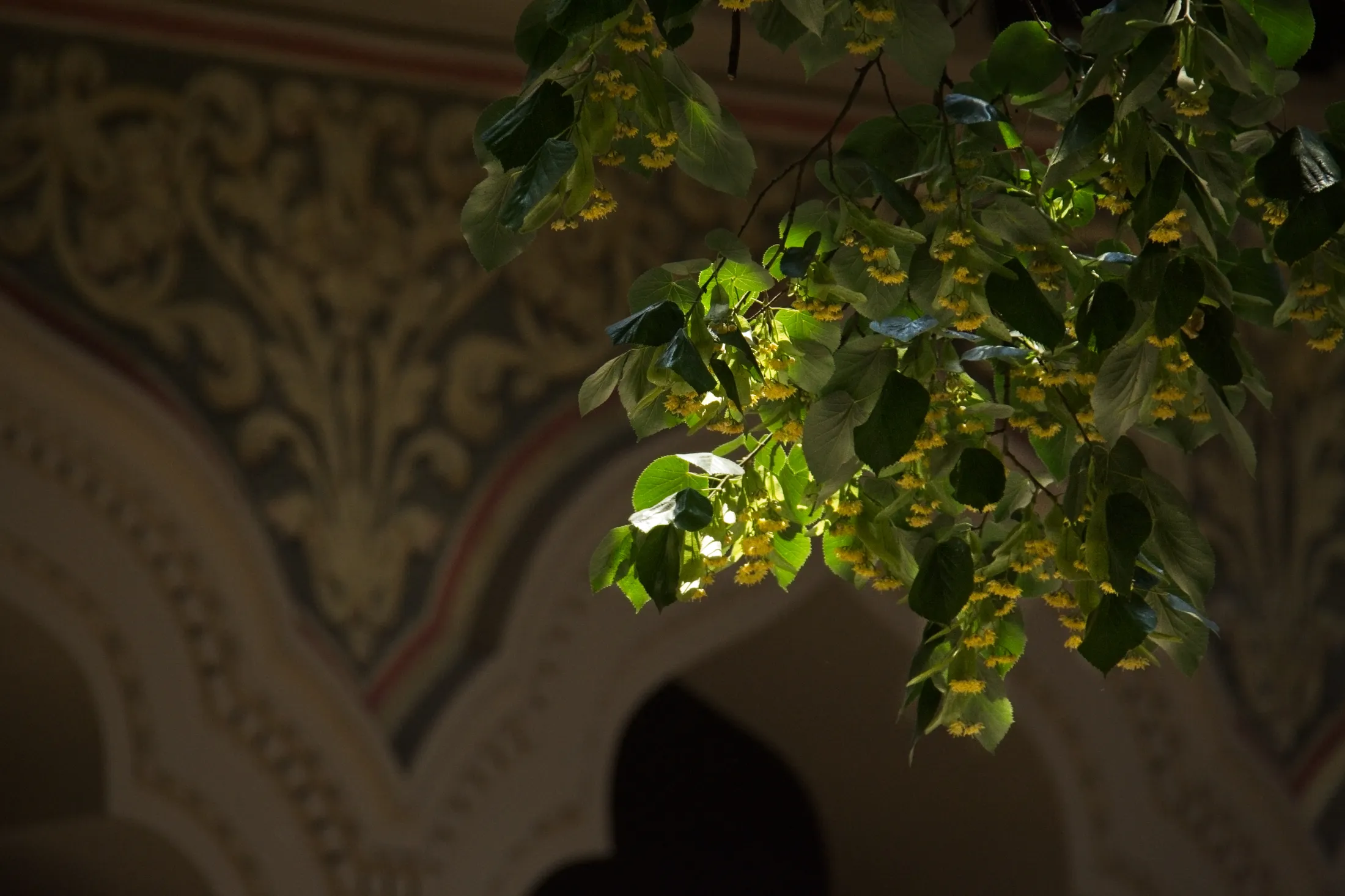 Catching the light