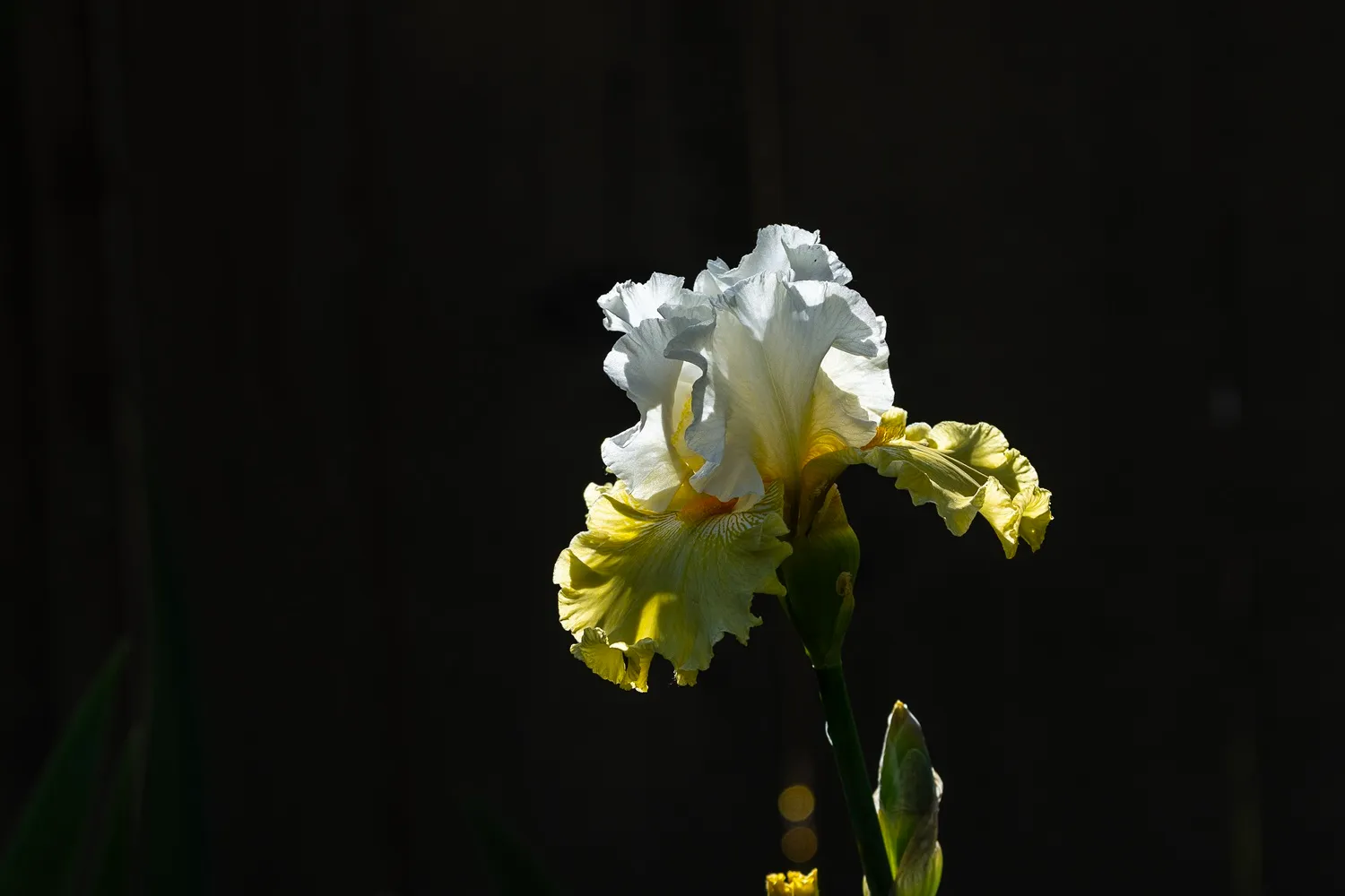 Dark background
