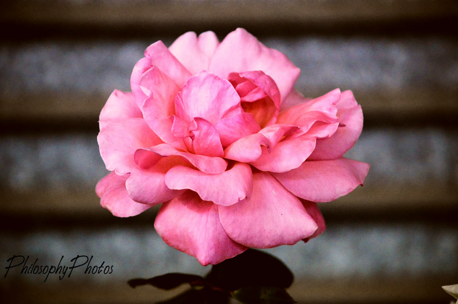 Untitled image