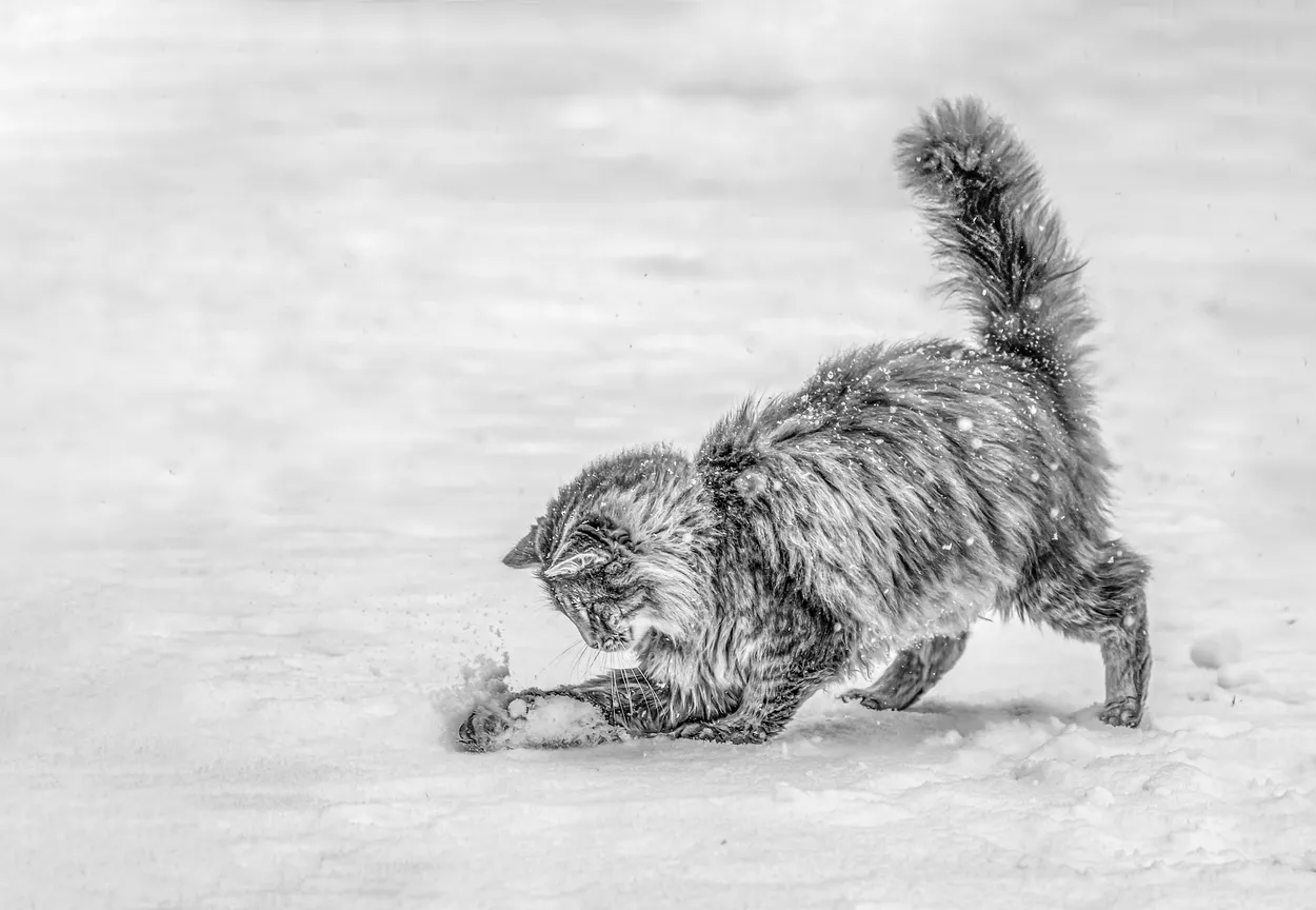 Enjoying the snow
