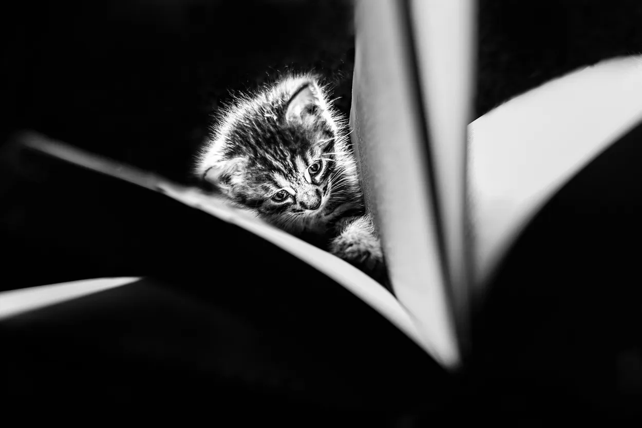 Bedtime stories
