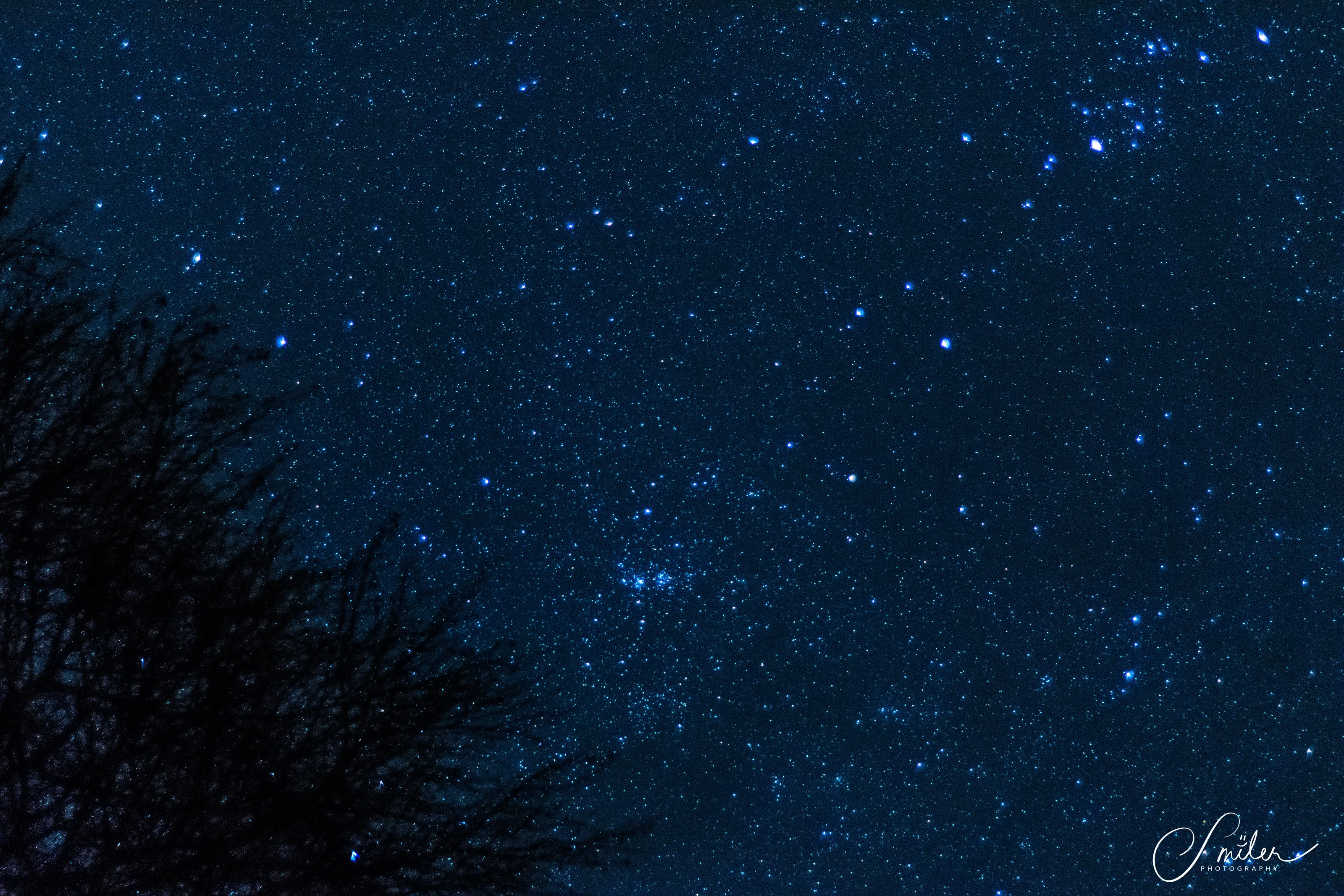 Winter Night Stars