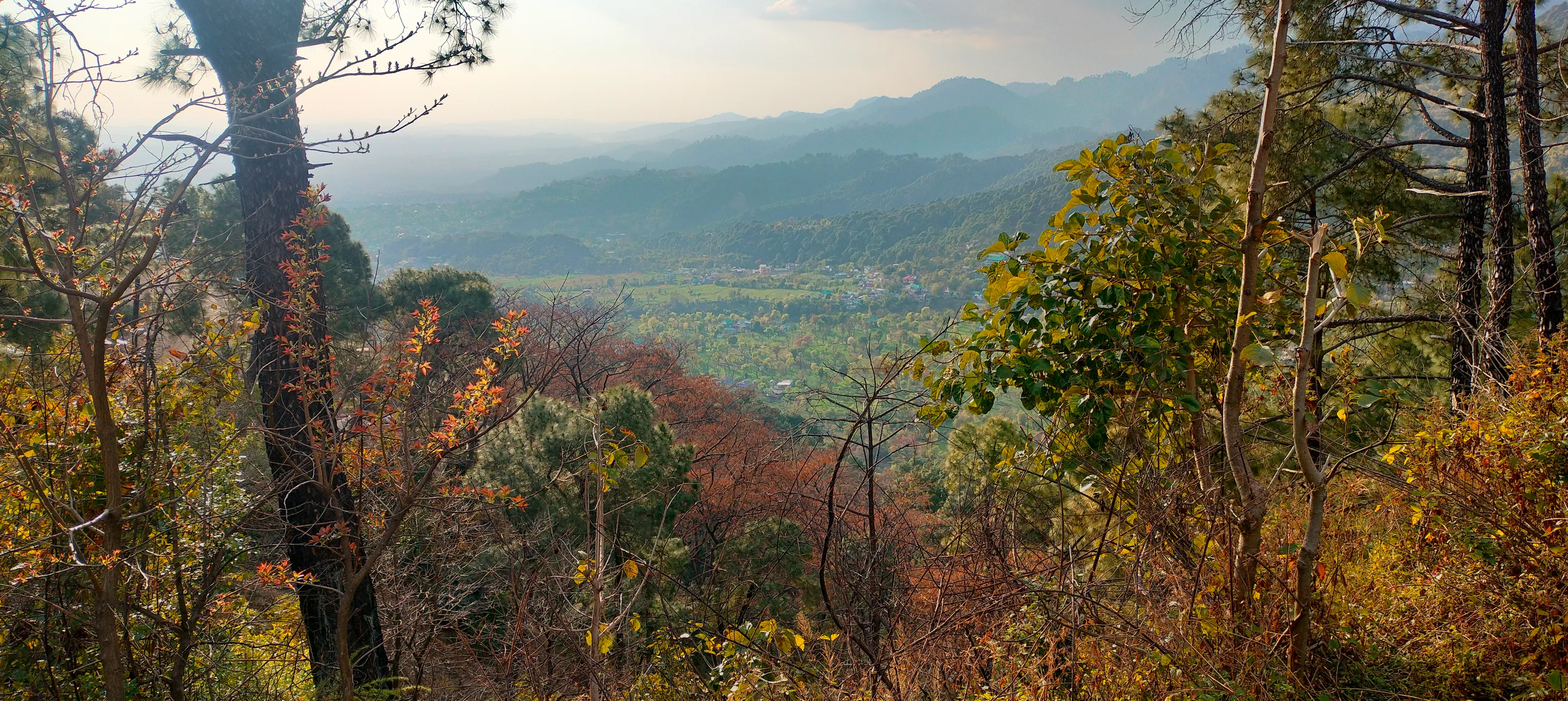 Golden Light over the Valley