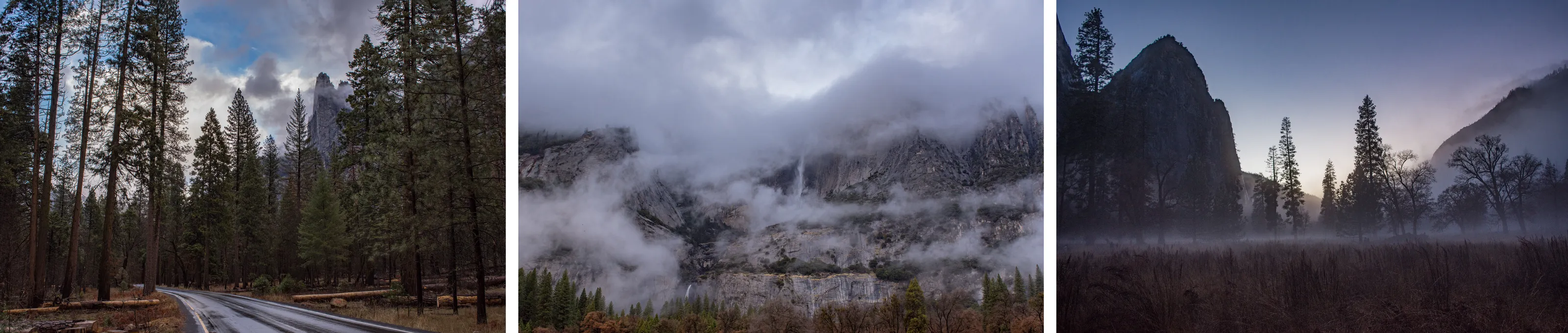 Yosemite collage  Jan 2018
