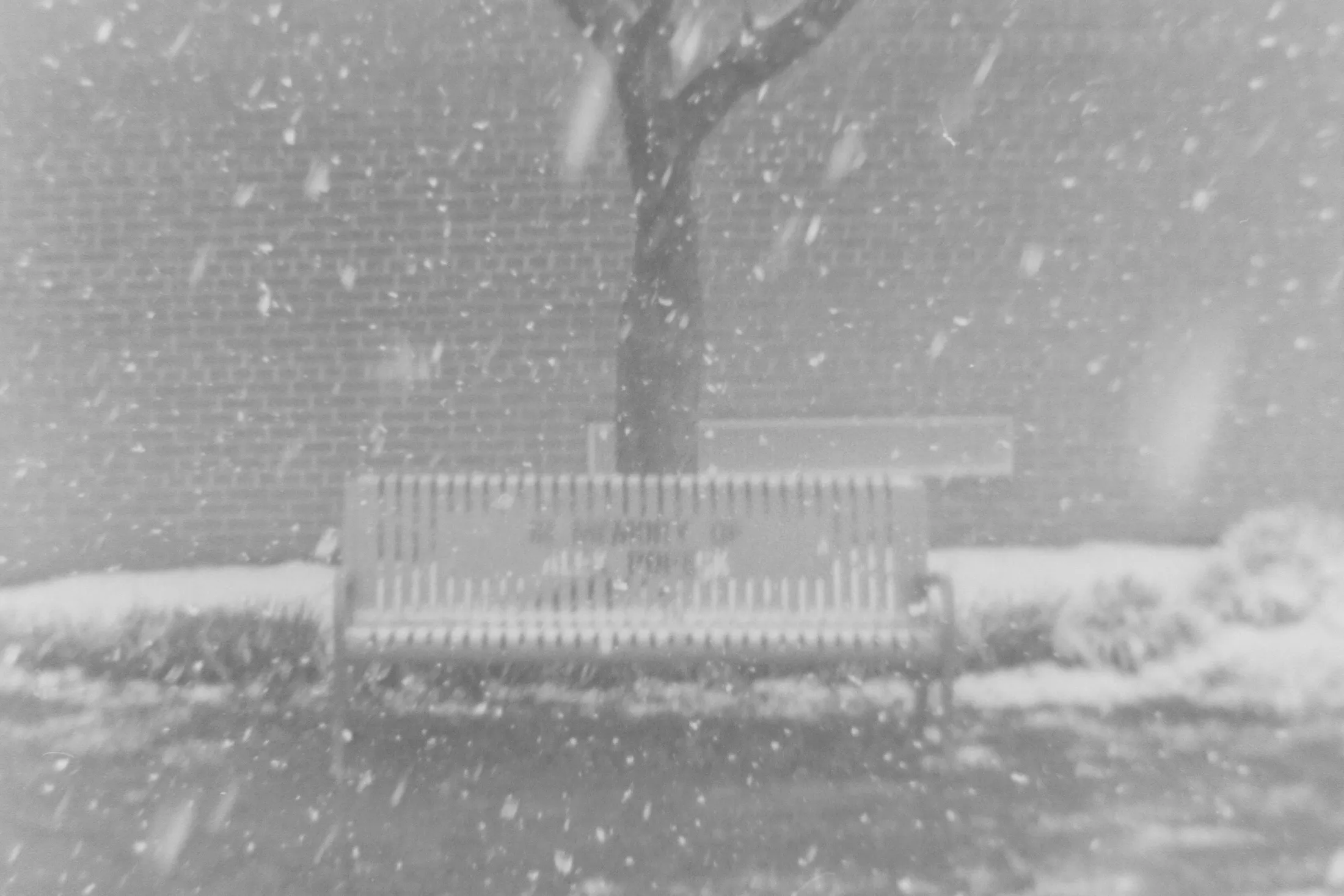 Holga camera bench