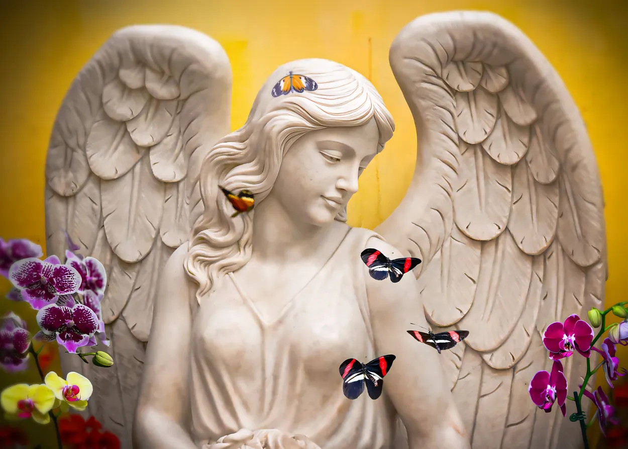 Butterfly Sanctuary