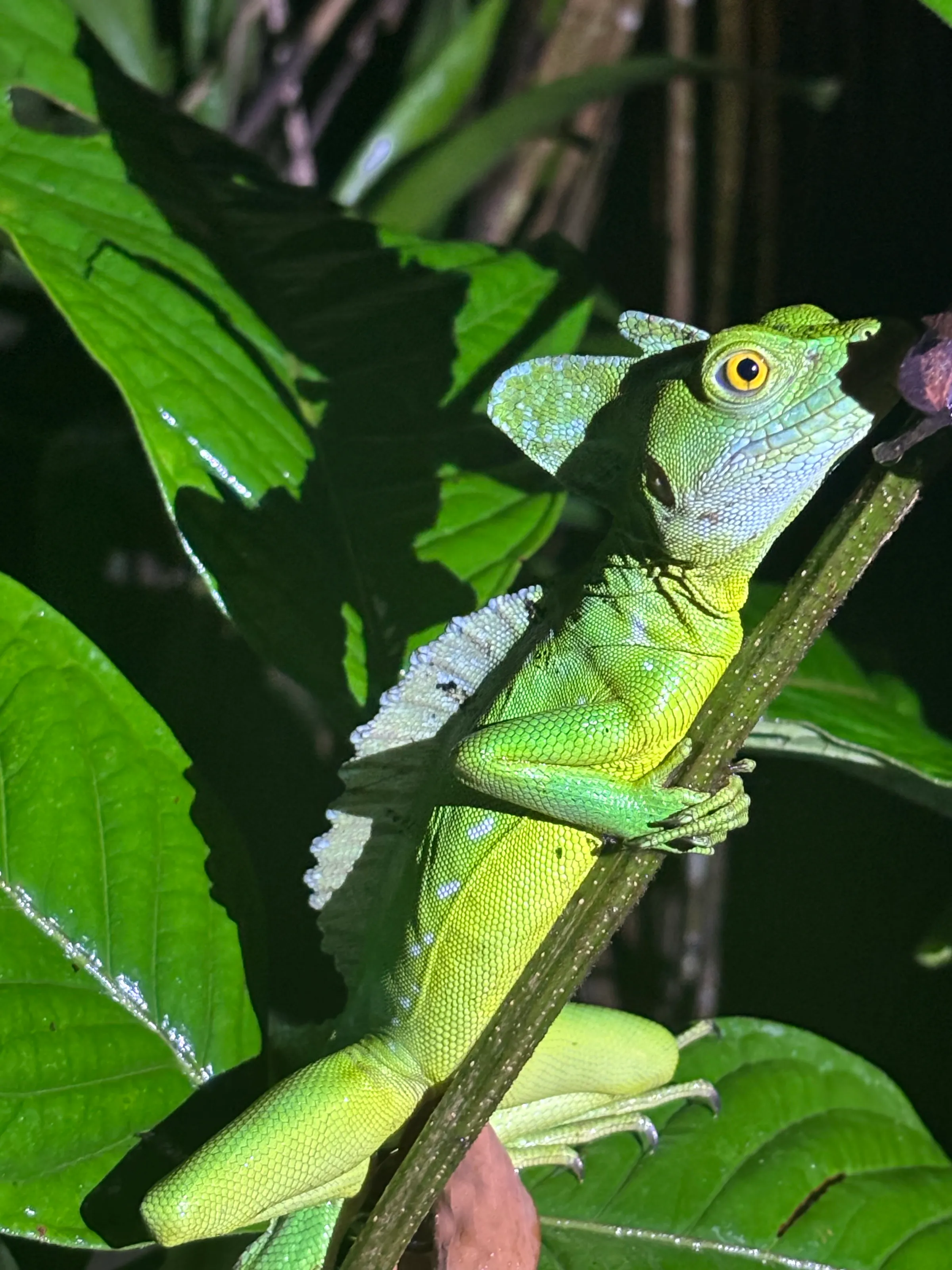 Costa Rica